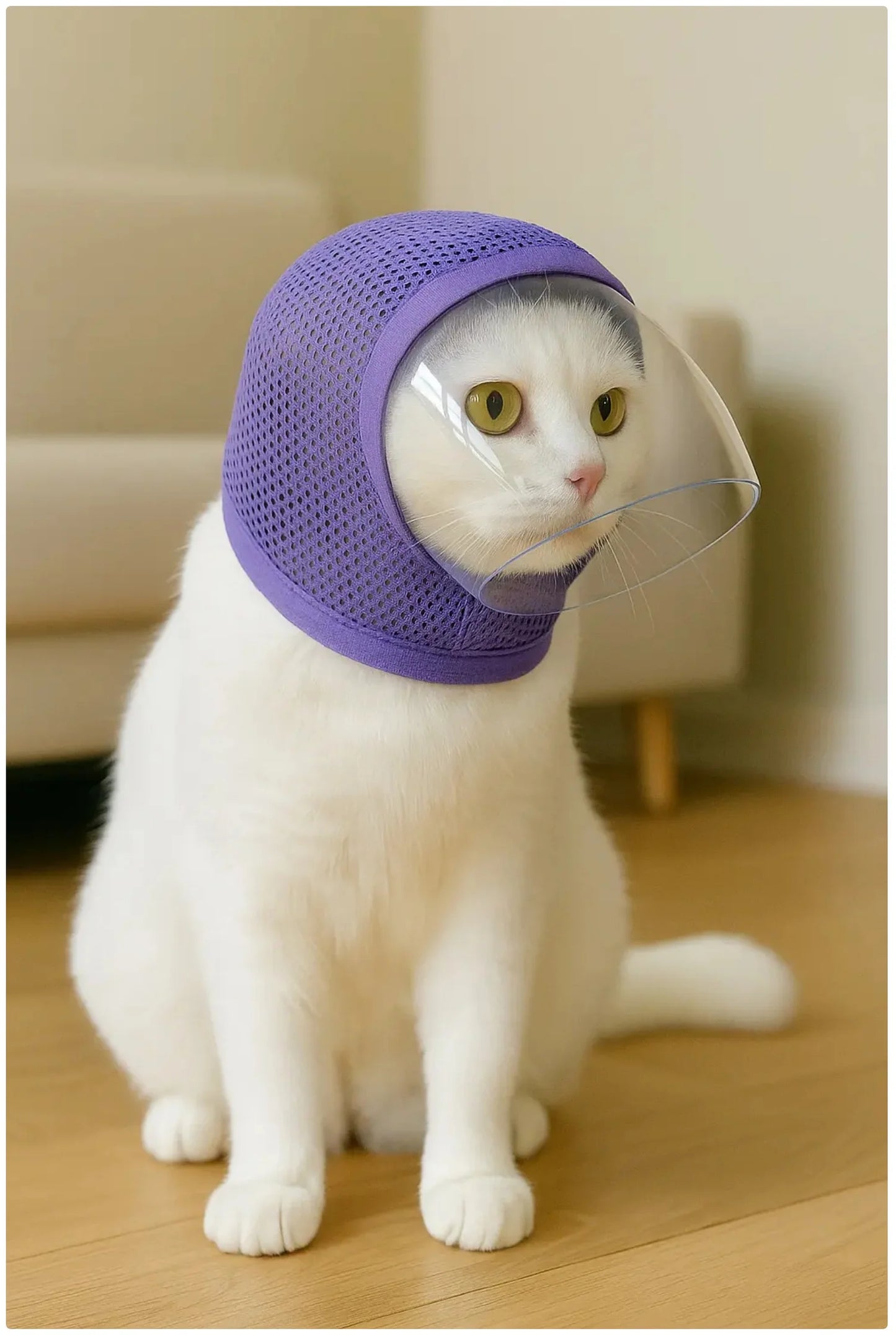 Cat anti - Bite Transparent Mask - Breathable Mesh Cat Face Shield for Grooming & Protection