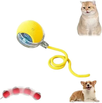 Speedy Tail 2.0 Smart Interactive Rolling Cat Toy Ball, 360° Automatic Moving Ball Toys for Bored Indoor Cats, USB Rechargeabl