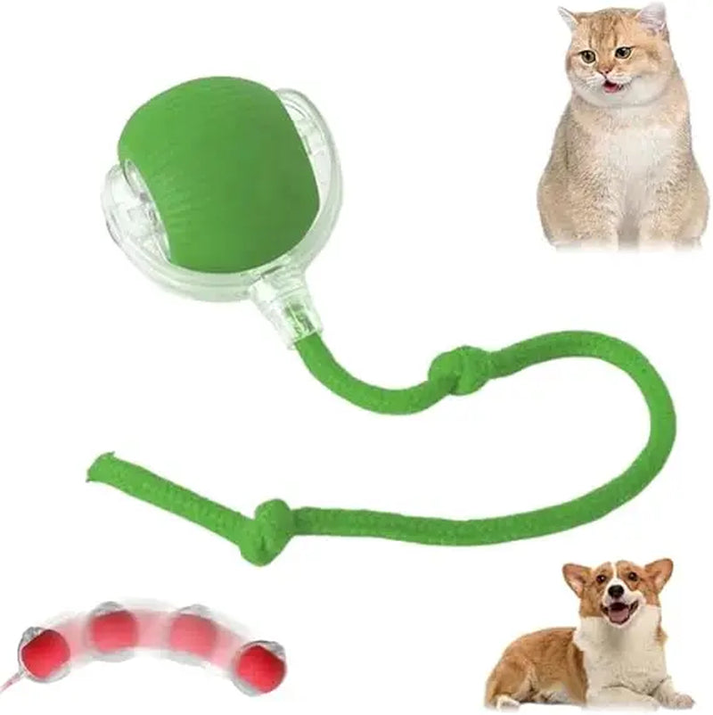 Speedy Tail 2.0 Smart Interactive Rolling Cat Toy Ball, 360° Automatic Moving Ball Toys for Bored Indoor Cats, USB Rechargeabl