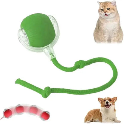Speedy Tail 2.0 Smart Interactive Rolling Cat Toy Ball, 360° Automatic Moving Ball Toys for Bored Indoor Cats, USB Rechargeabl
