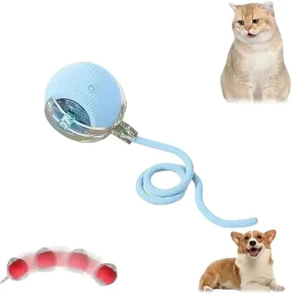 Speedy Tail 2.0 Smart Interactive Rolling Cat Toy Ball, 360° Automatic Moving Ball Toys for Bored Indoor Cats, USB Rechargeabl