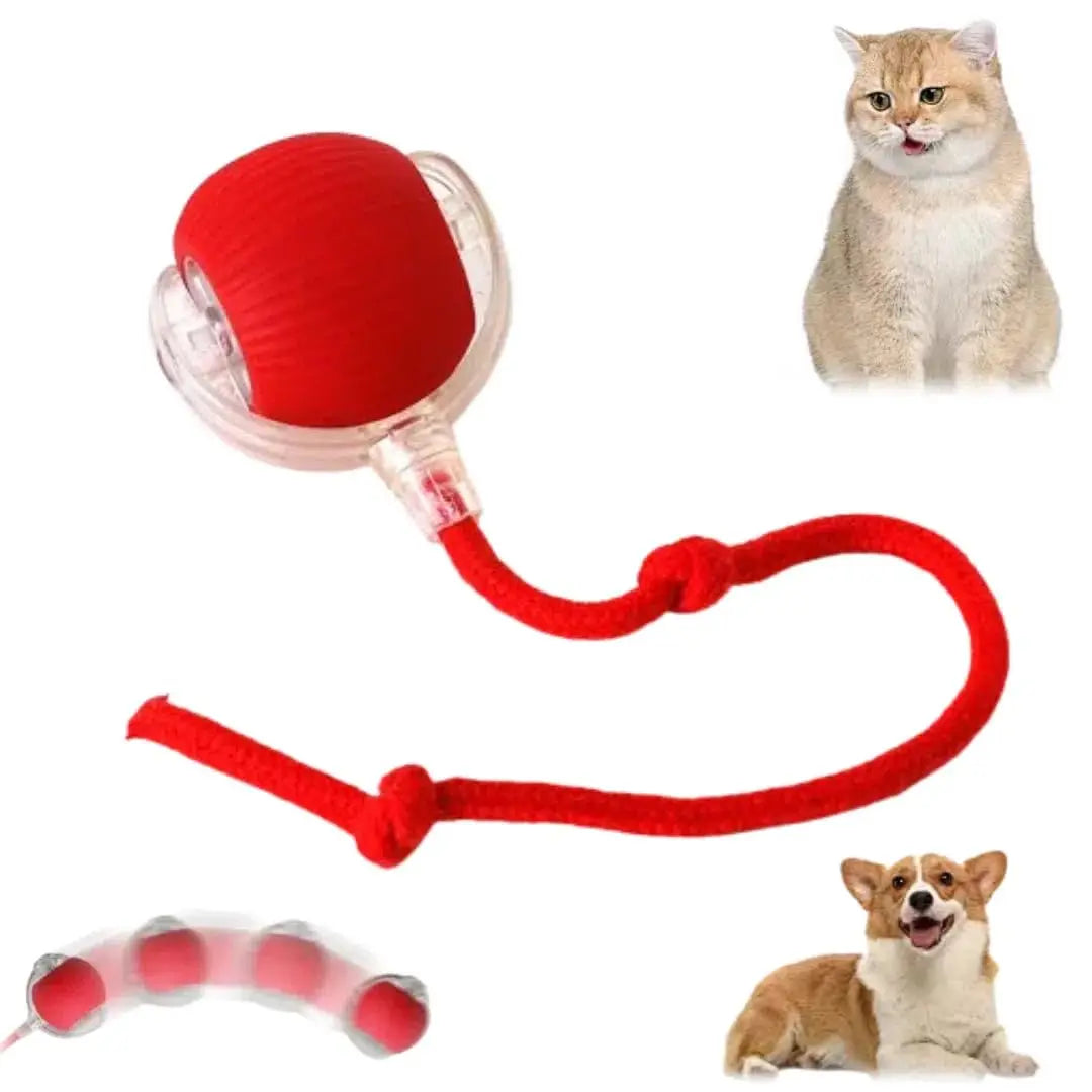 Speedy Tail 2.0 Smart Interactive Rolling Cat Toy Ball, 360° Automatic Moving Ball Toys for Bored Indoor Cats, USB Rechargeabl